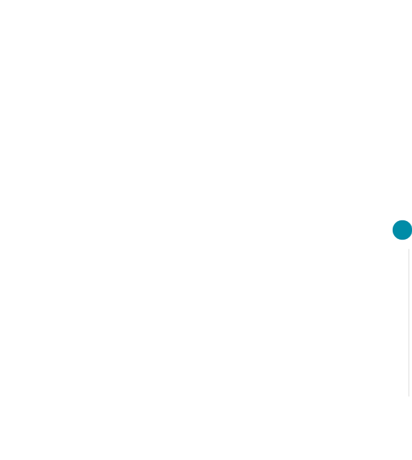 fidem. Logo weiß